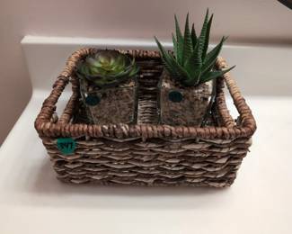 Basket & Succulents