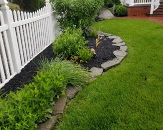 Plants; slate
