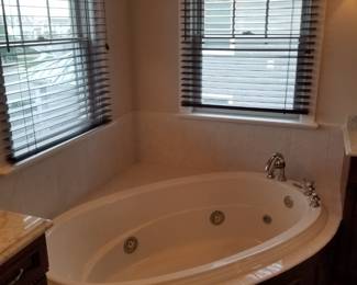 Spa tub
