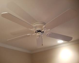 Ceiling fan
