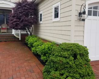 Landscaping