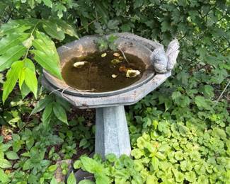 Birdbath