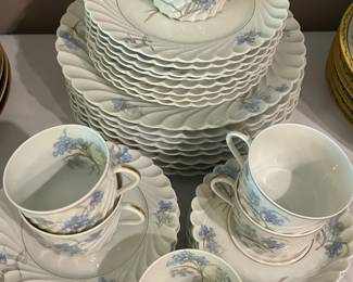 Haviland Limoges Bergère china