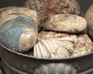 Abalone Shells, Approx. 40 Pieces