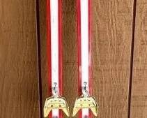Fischer Europa Skis, 205 cm, With Bindings