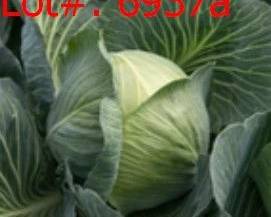 6937a result