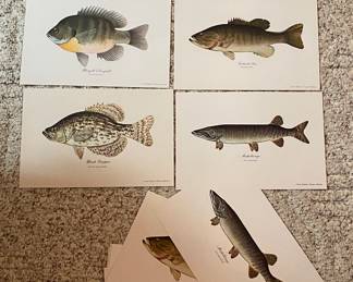 Prints