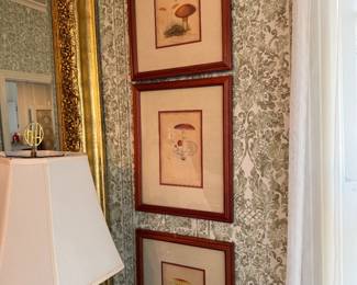 Antique mushroom prints