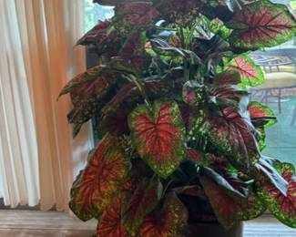 Faux elephant ear plants, two total