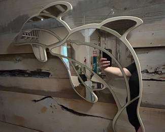 Dolphin mirror