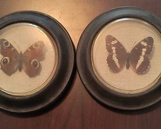 Butterflys