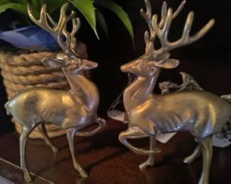 Deer