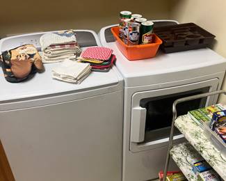 Fisher and paychal washer dryer set