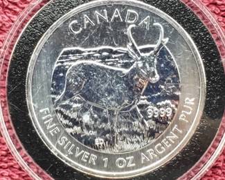 1 Troy Oz Silver 2013 Antelope