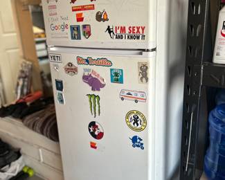 Garage refrigerator