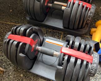 Adjustable Bow Flex 5 weights