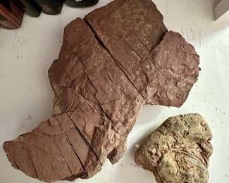 Rocks, fossils, and geological fragments