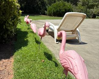 Yard flamingos