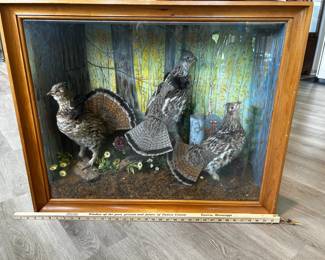 Three birds in a shadowbox