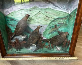 Kitch bird vignette in a shadowbox