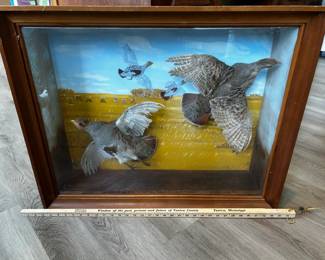 Pair of quail in a shadowbox