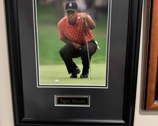 Tiger woods pictute