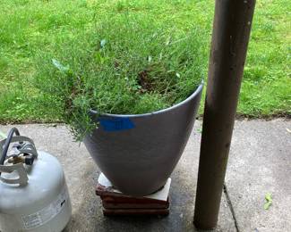 Large flower planters