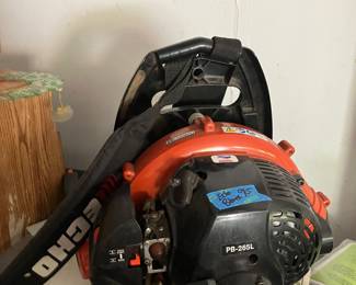 Blower back pack