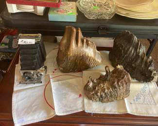 Vintage camera.
3 petrified teeth