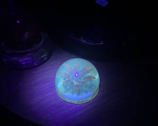 Lucite paperweight with flower