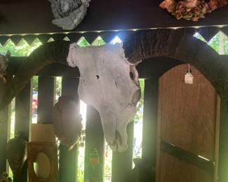 Sheep or cow skull