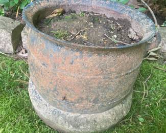 Iron bucket, used as a planter