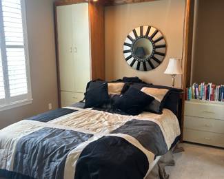 Queen Murphy bed