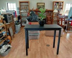 Sofa Table Black Rustic Design could have many different uses, very sturdy, good condition, 41.5"L x 18" W x 35"H Plant Not Included