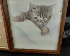 Picture Frames, Wood Framed Cat Pictures, (2) 8x10.