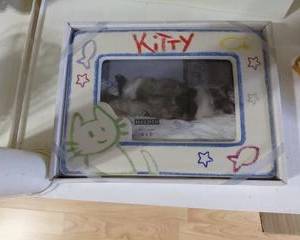 Ceramic Kitty Picture Frame, New in Box, very cute.