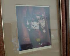 Picture Frame, Matted, Tiger Striped Wood, Gold inside Trim, Pictures 3-Cats.