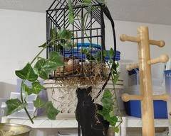 Cat on Cage with Bird Nesting on Eggs, very cute item, good condition.
