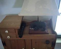 Small side table natural knotted pine with ceramic knobs 31" H x 24" L 11" W good condition good match with lot#6. Lamp not included.