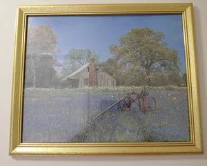 Country pictures, Texas Bluebonnets & Old Barn, and Fall Colors with Barn, both in gold-colored frames, nice country pictures.