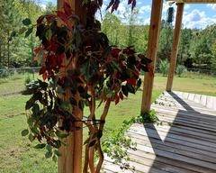 Artificial Ficus Tree come with large brown container not shown in picture, 6'.