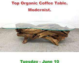 Lot 678 Driftwood Base Oval Glass Top Organic Coffee Table. Modernist.