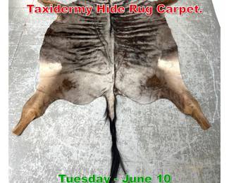 Lot 885 African Blue Wildebeest Taxidermy Hide Rug Carpet.