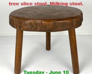 Lot 398 Large Vintage 3 legged tree slice stool. Milking stool.
