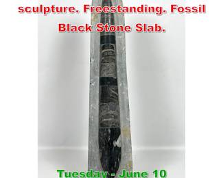 Lot 660 Single Polished Orthoceras sculpture. Freestanding. Fossil Black Stone Slab.