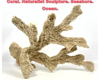 Lot 1330 Large Piece Natural Real Sea Coral. Naturalist Sculpture. Seashore. Ocean.