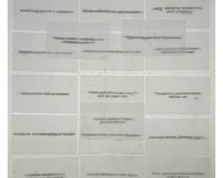Lot 1113 14 Jenny Holzer vellum truisms