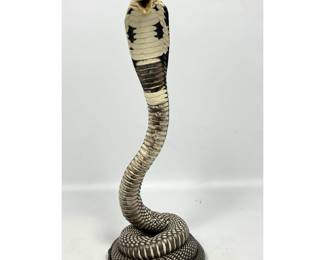 Lot 1018 Taxidermy Cobra Snake.
