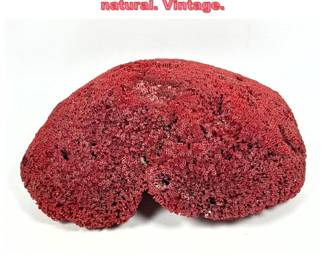 Lot 1325 Massive Red Pipe Organ Coral. All natural. Vintage.
