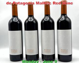 Lot 56 4 pcs 2013 Bodega Noemia de Patagonia Malbec Red Wine